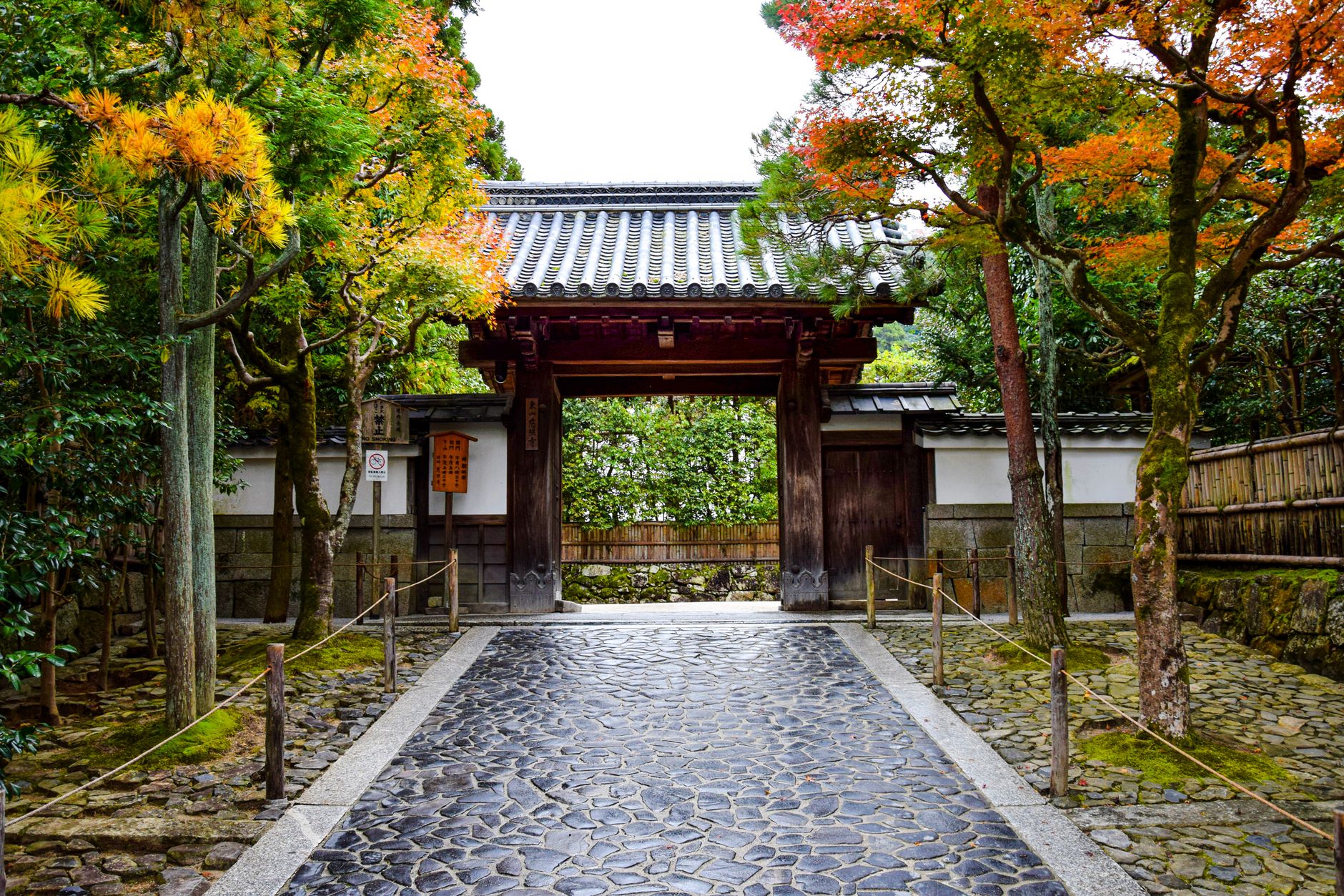 Kyoto bamboo forest morning path